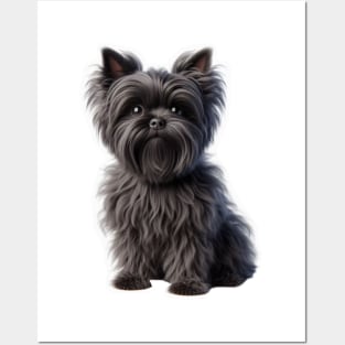 Affenpinscher Posters and Art